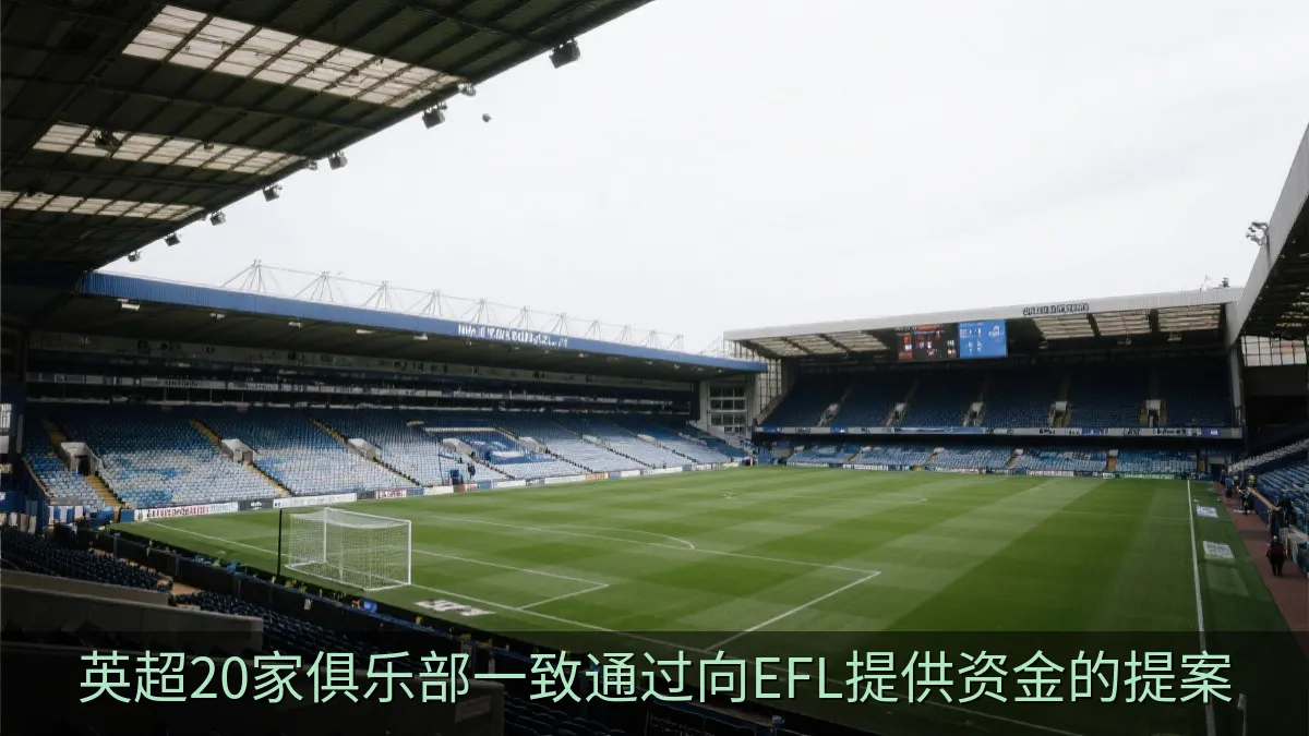 英超20家俱乐部一致通过向EFL提供资金的提案